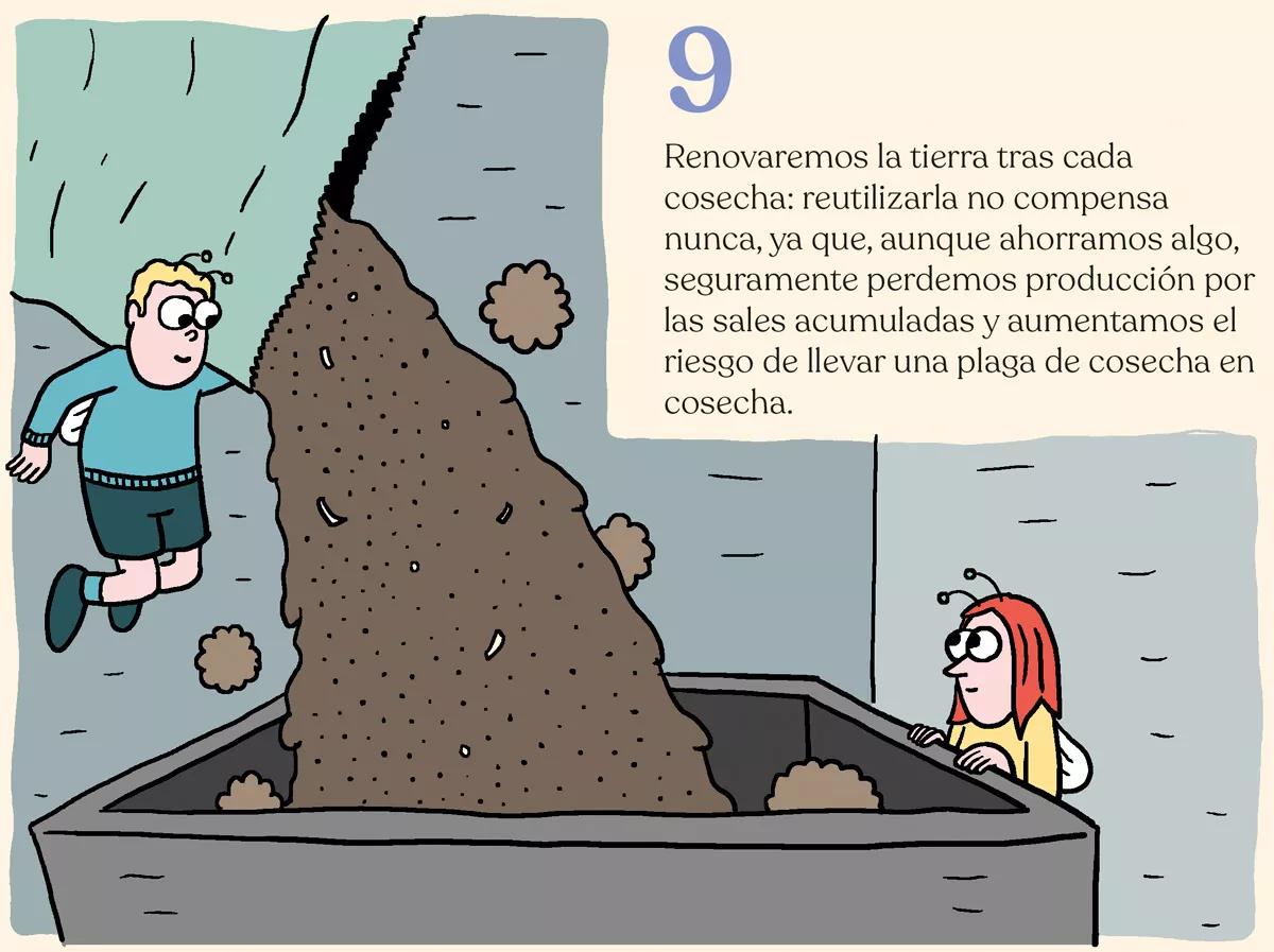 El cuarto eterno: trucos de mantenimiento del ‘indoor’ 