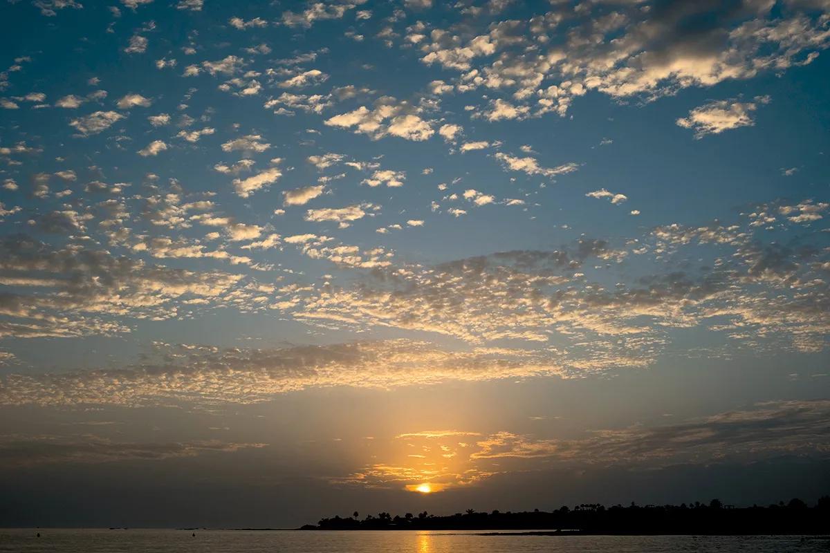 Fuertedélica, el encuentro psicodélico de referencia en España