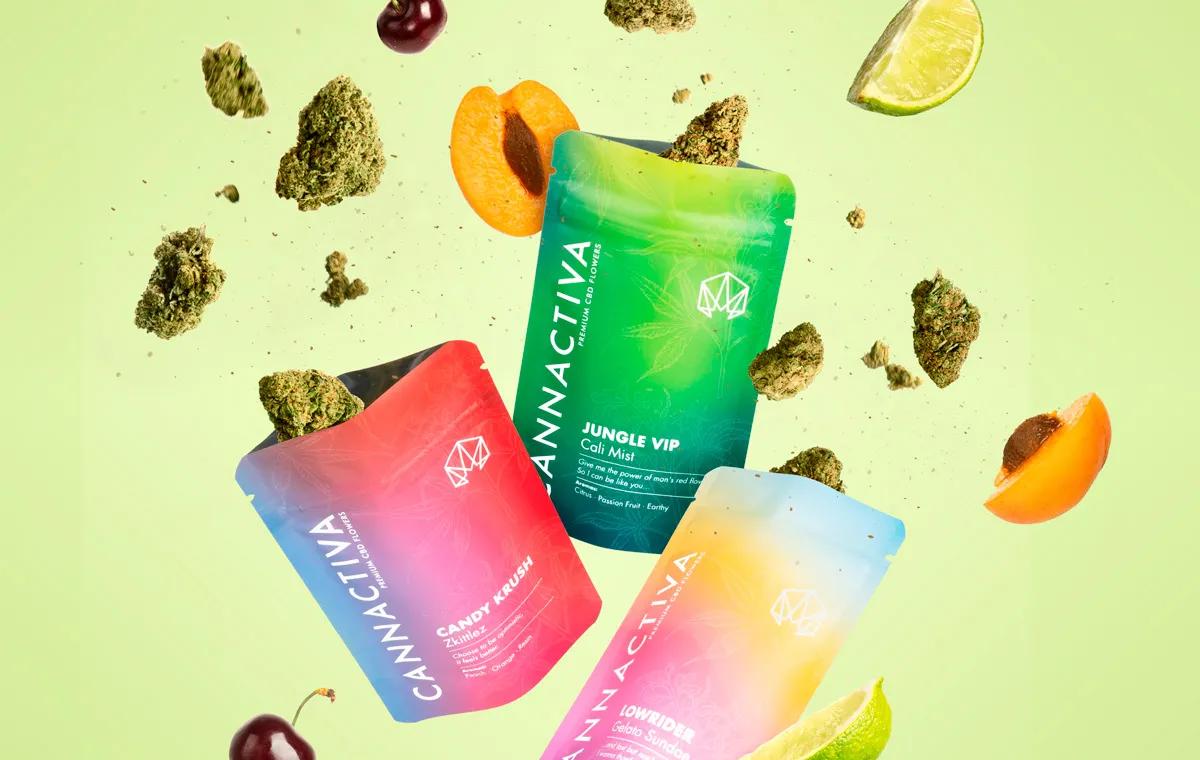 Cannactiva: Marca de CBD número 1 en España consolida su posición en un mercado en transformación