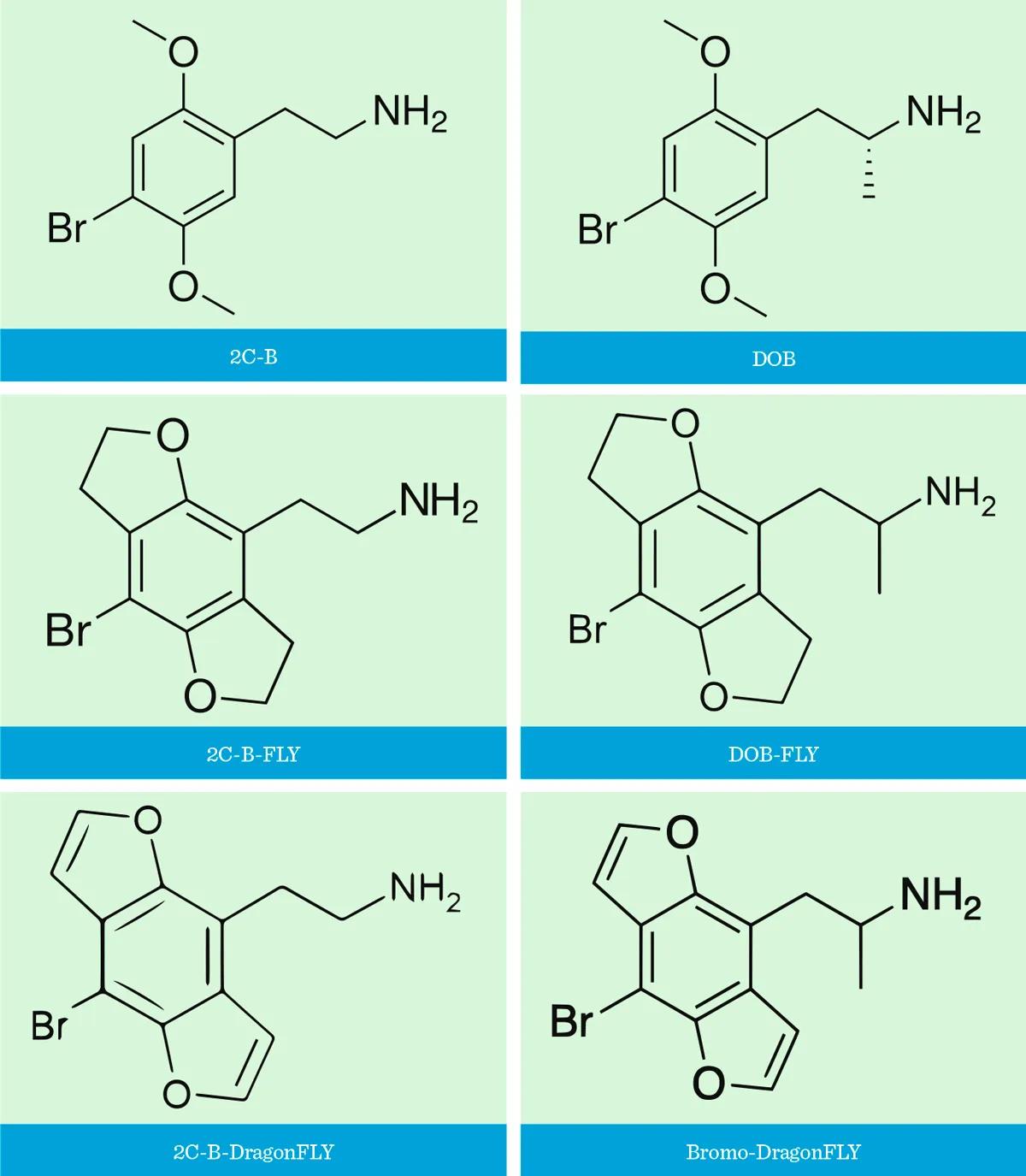 Drogas ‘fly’: las poderosas mariposas del mundo psicofarmacológico