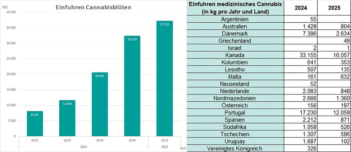 Alemania bate récord de importación de cannabis medicinal en 2025