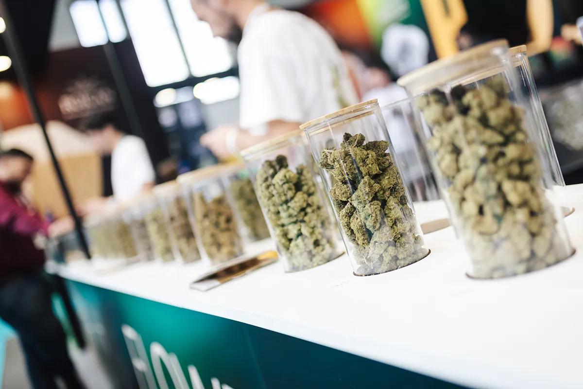 Mary Jane Berlin Fotos de Christoph Wehrer