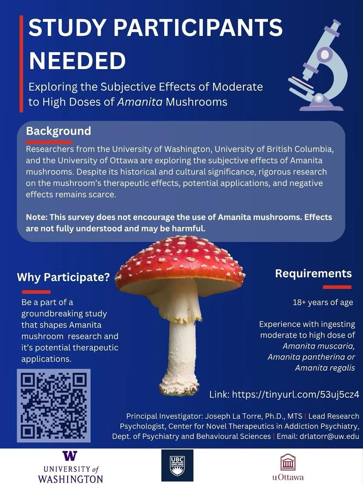 ¡Atención, miconauta! Participa en la encuesta sobre experiencias con Amanita