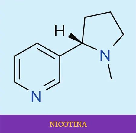 Nicotina