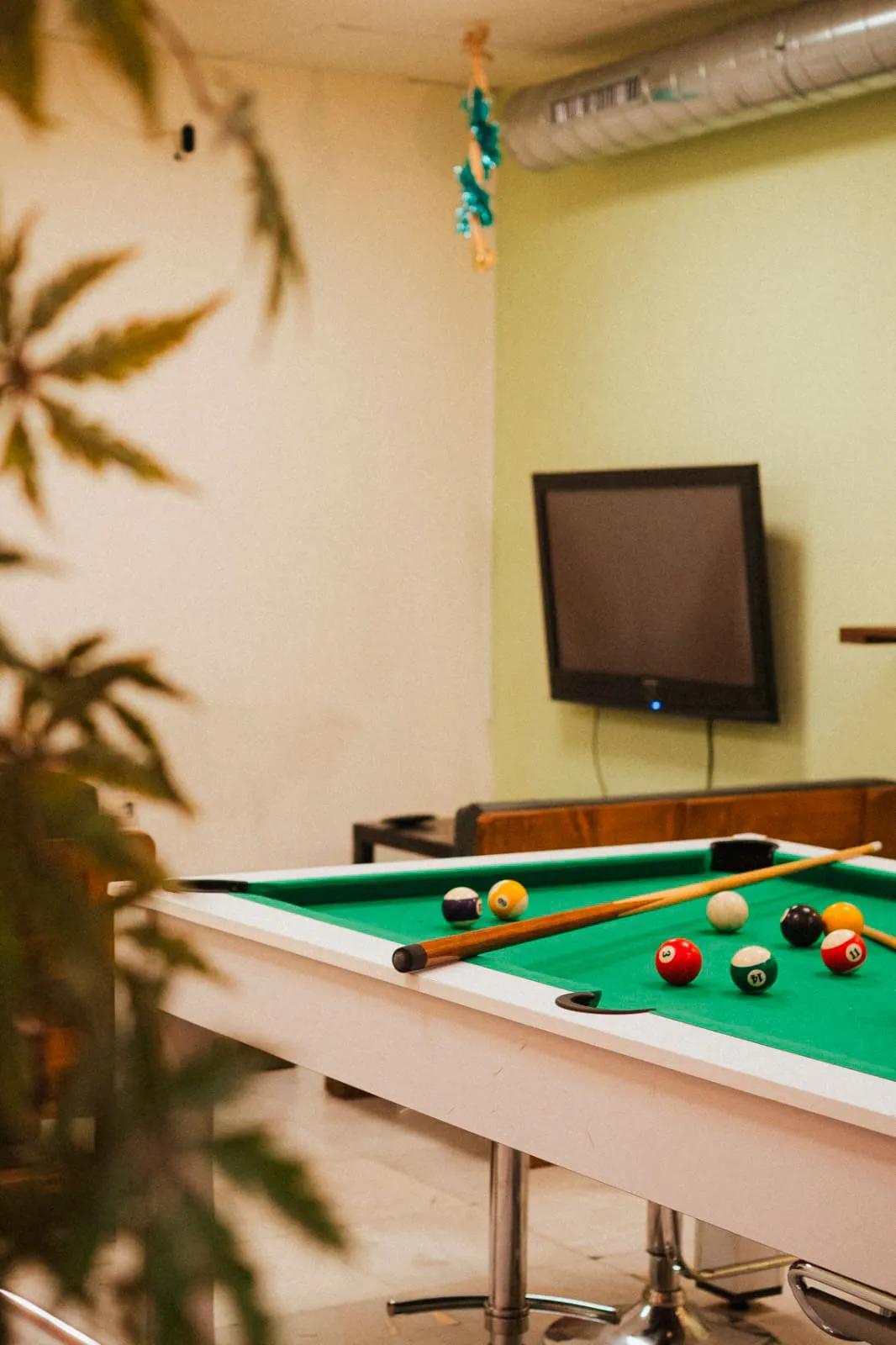 Green City Sevilla: el santuario cannábico privado en el corazón de la ciudad