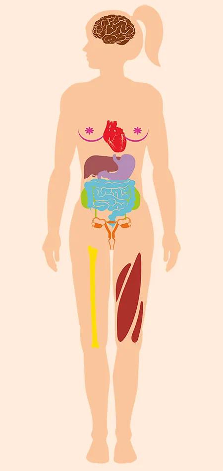 Cannabis y salud en la mujer