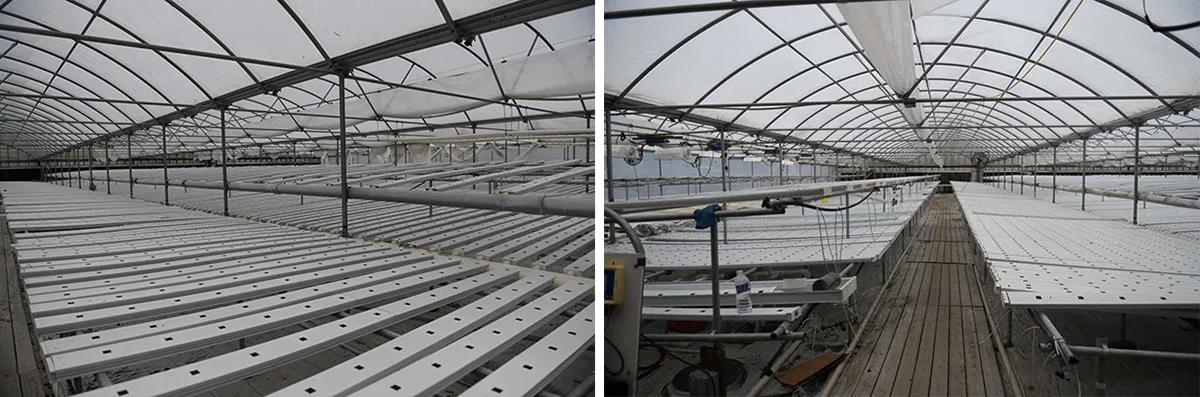 Antiguo invernadero que Farm Coast compró y construirá para su propio uso.