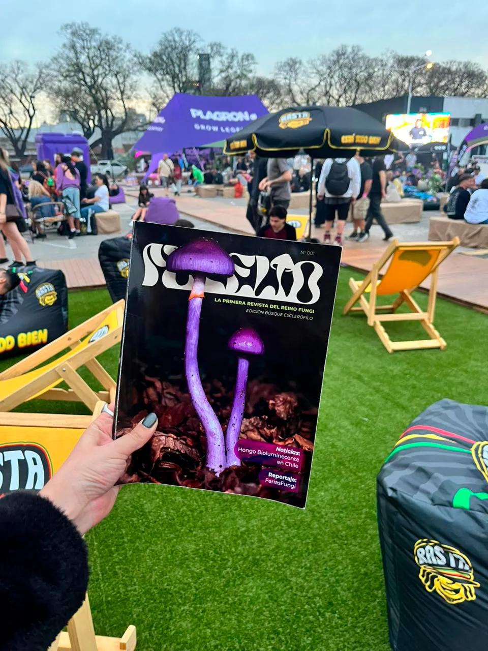Revista Micelio, hongos, bosques y territorios en clave latinoamericana
