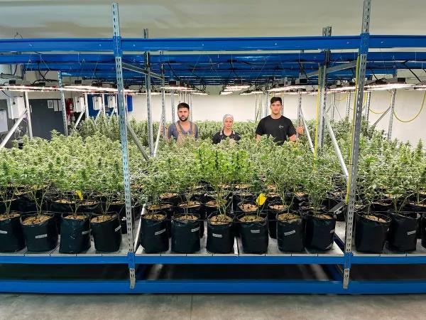 Argentina: tango, fútbol y mucha, mucha marihuana